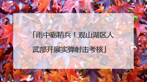 雨中砺精兵！观山湖区人武部开展实弹射击考核