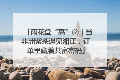 雨花登“高”②｜当非洲紫茶遇见湘江，订单里藏着共富密码