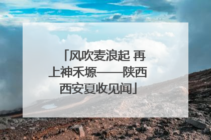 风吹麦浪起 再上神禾塬——陕西西安夏收见闻