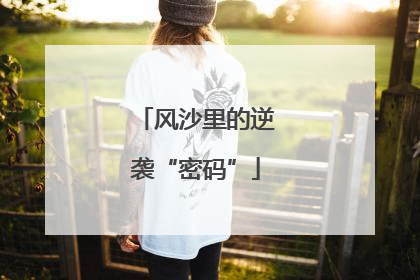 风沙里的逆袭“密码”