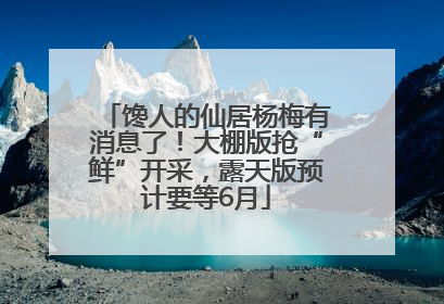 馋人的仙居杨梅有消息了！大棚版抢“鲜”开采，露天版预计要等6月