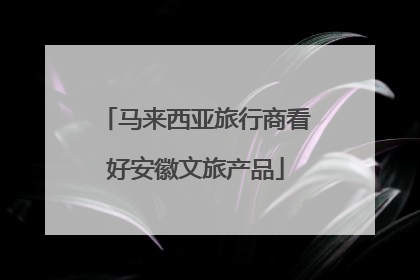 马来西亚旅行商看好安徽文旅产品