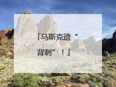 马斯克遭“背刺”！