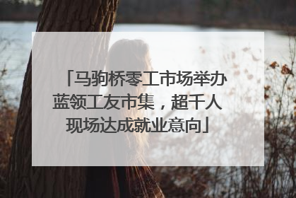 马驹桥零工市场举办蓝领工友市集，超千人现场达成就业意向
