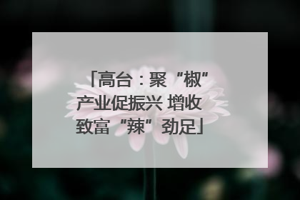 高台：聚“椒”产业促振兴 增收致富“辣”劲足
