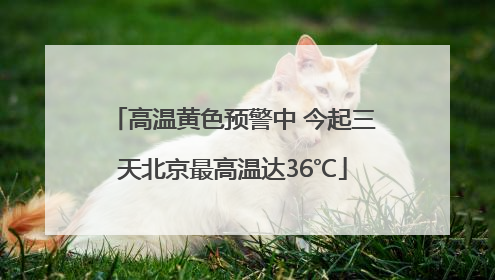 高温黄色预警中 今起三天北京最高温达36℃
