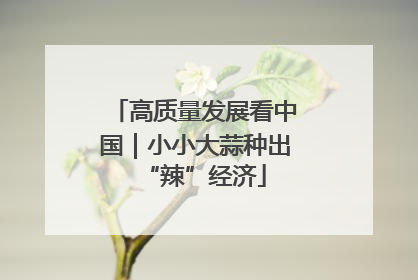 高质量发展看中国｜小小大蒜种出“辣”经济