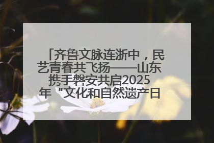 齐鲁文脉连浙中，民艺青春共飞扬——山东携手磐安共启2025年“文化和自然遗产日”系列活动