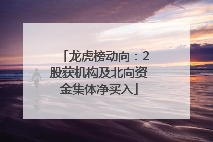 龙虎榜动向：2股获机构及北向资金集体净买入