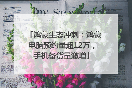 鸿蒙生态冲刺：鸿蒙电脑预约量超12万，手机备货量激增