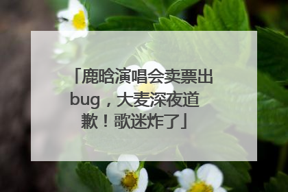 鹿晗演唱会卖票出bug，大麦深夜道歉！歌迷炸了
