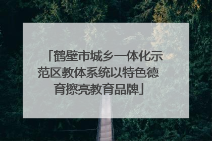 鹤壁市城乡一体化示范区教体系统以特色德育擦亮教育品牌