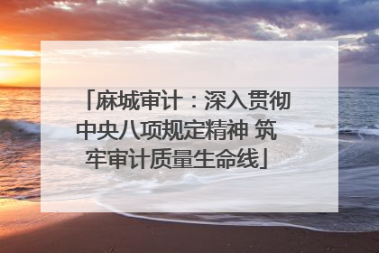 麻城审计：深入贯彻中央八项规定精神 筑牢审计质量生命线