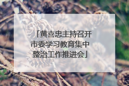 黄喜忠主持召开市委学习教育集中整治工作推进会
