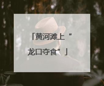 黄河滩上“龙口夺食”