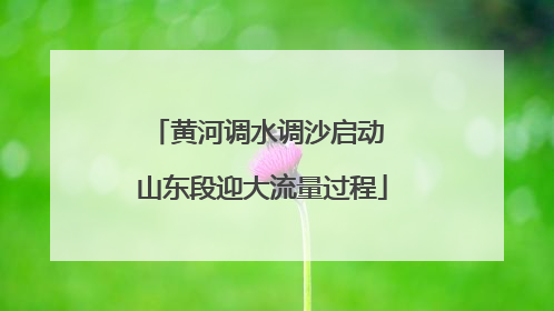 黄河调水调沙启动 山东段迎大流量过程