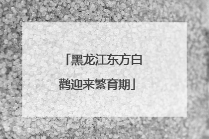 黑龙江东方白鹳迎来繁育期