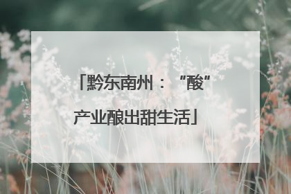 黔东南州：“酸”产业酿出甜生活