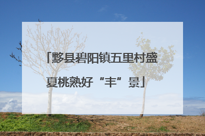黟县碧阳镇五里村盛夏桃熟好“丰”景