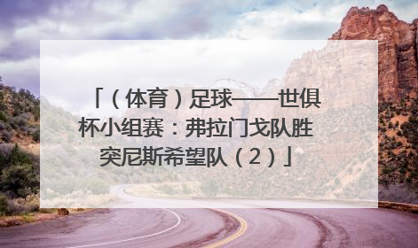 （体育）足球——世俱杯小组赛：弗拉门戈队胜突尼斯希望队（2）