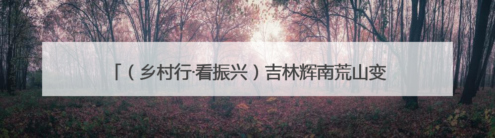 （乡村行·看振兴）吉林辉南荒山变“绿色银行” 绿水青山有“钱景”