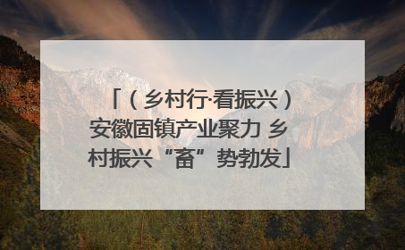 （乡村行·看振兴）安徽固镇产业聚力 乡村振兴“畜”势勃发