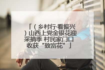 （乡村行·看振兴）山西上党金银花迎采摘季 村民家门口收获“致富花”