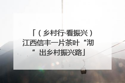 （乡村行·看振兴）江西信丰一片茶叶“沏”出乡村振兴路