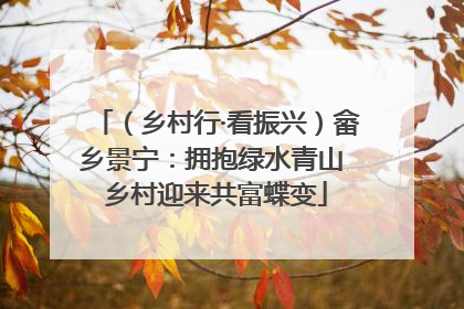 （乡村行·看振兴）畲乡景宁：拥抱绿水青山 乡村迎来共富蝶变