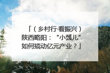 （乡村行·看振兴）陕西略阳：“小瓢儿”如何撬动亿元产业？