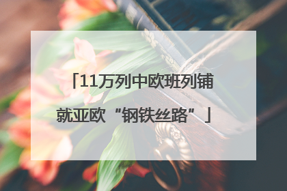 11万列中欧班列铺就亚欧“钢铁丝路”