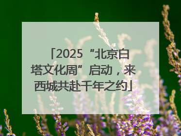 2025“北京白塔文化周”启动，来西城共赴千年之约