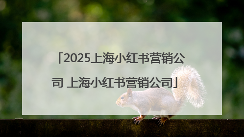 2025上海小红书营销公司 上海小红书营销公司