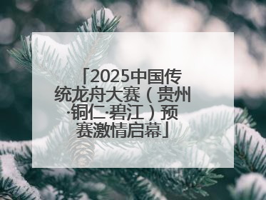 2025中国传统龙舟大赛（贵州·铜仁·碧江）预赛激情启幕