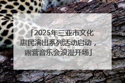 2025年三亚市文化惠民演出系列活动启动，露营音乐会浪漫开场