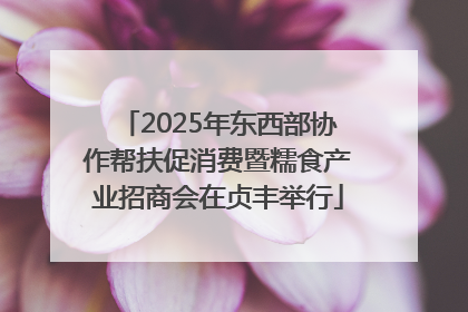 2025年东西部协作帮扶促消费暨糯食产业招商会在贞丰举行