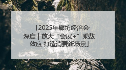 2025年廊坊经洽会·深度｜放大“会展+”乘数效应 打造消费新场景