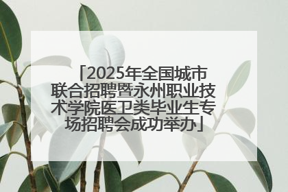 2025年全国城市联合招聘暨永州职业技术学院医卫类毕业生专场招聘会成功举办