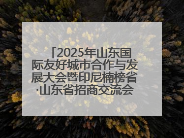 2025年山东国际友好城市合作与发展大会暨印尼楠榜省·山东省招商交流会在济南槐荫举行