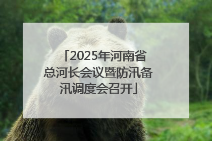 2025年河南省总河长会议暨防汛备汛调度会召开