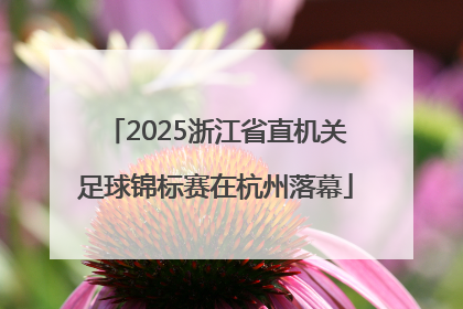 2025浙江省直机关足球锦标赛在杭州落幕
