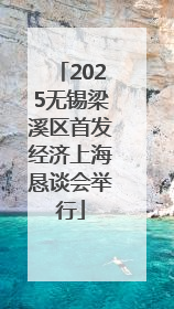 2025无锡梁溪区首发经济上海恳谈会举行