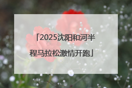2025沈阳和河半程马拉松激情开跑