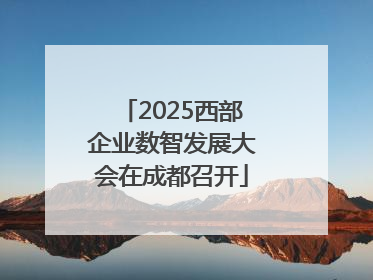 2025西部企业数智发展大会在成都召开