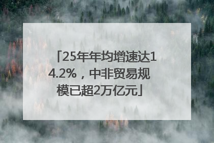 25年年均增速达14.2%，中非贸易规模已超2万亿元