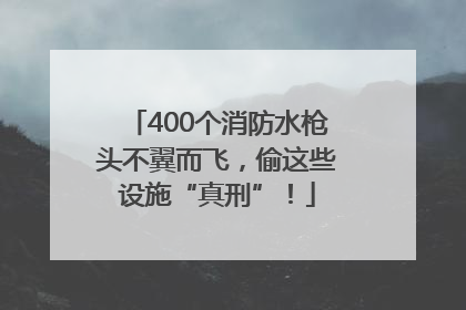 400个消防水枪头不翼而飞，偷这些设施“真刑”！