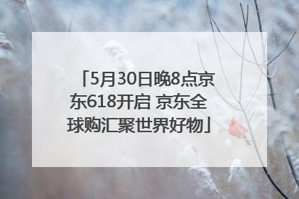 5月30日晚8点京东618开启 京东全球购汇聚世界好物
