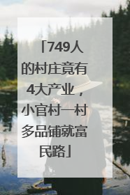 749人的村庄竟有4大产业，小官村一村多品铺就富民路