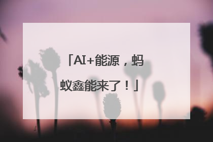 AI+能源，蚂蚁鑫能来了！